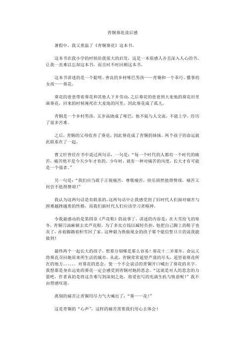 青铜葵花读后感 2