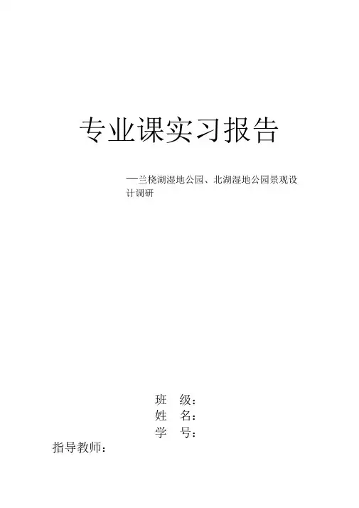 长春北湖公园调研报告