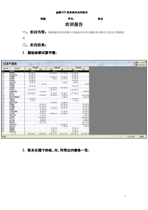 【VIP专享】金蝶KIS财务软件实训报告