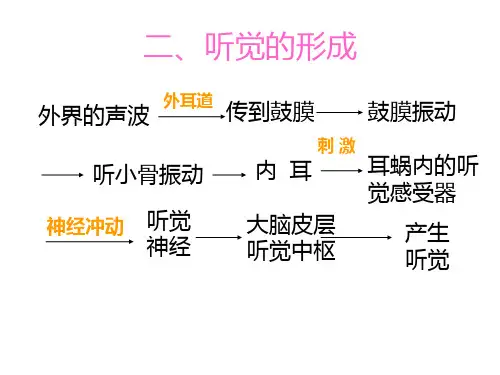 七年级生物耳与听觉(PPT)2-2