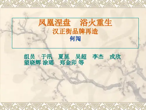 汉正街品牌再造资料