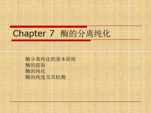 酶的分离纯化(上)