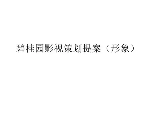 广告策划知识汇总个docx个ppt