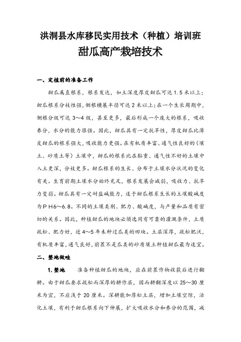 甜瓜高产栽培技术 2