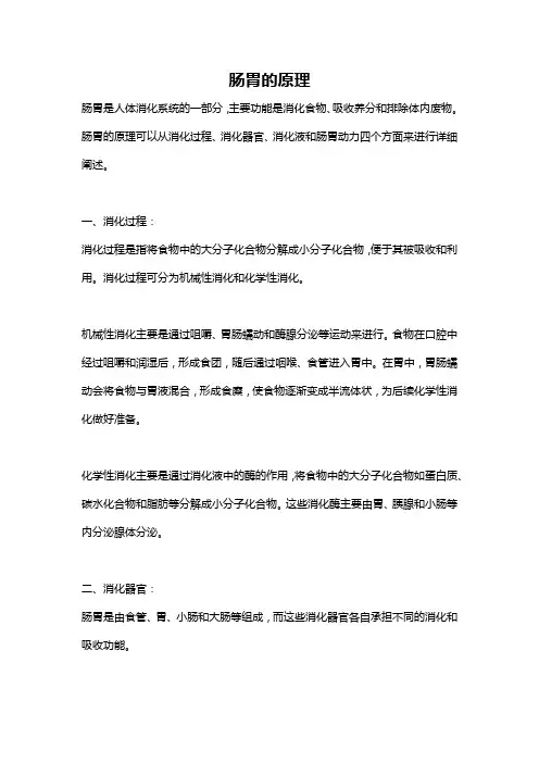 肠胃的原理