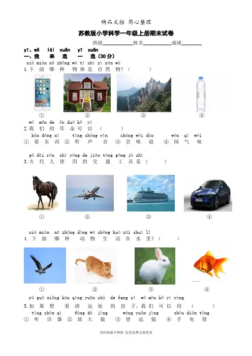 苏教版小学科学一年级上册期末试卷