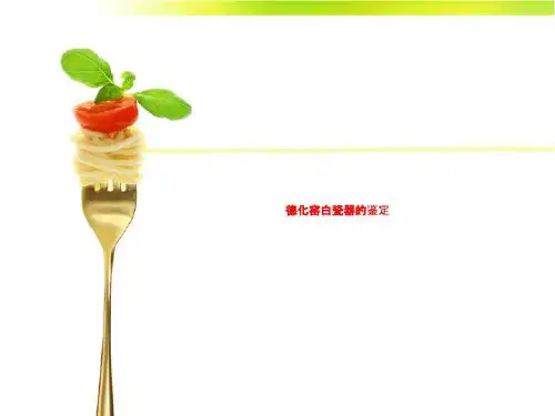 德化窑白瓷器的鉴定