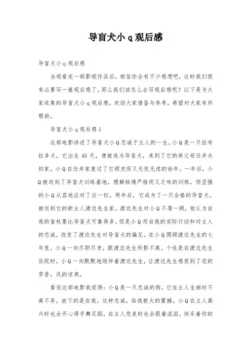 导盲犬小q观后感