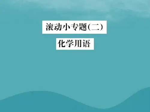 2019届中考化学复习滚动小专题(二)化学用语课件鲁教版