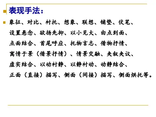 表现手法
