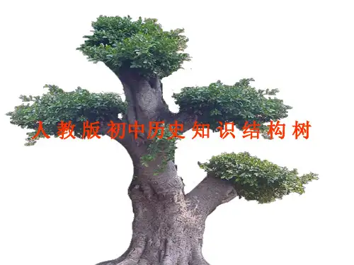 初中历史知识结构树 课件