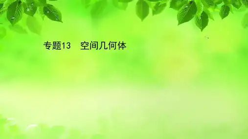 2021届高考数学(文)二轮考前复习课件：第一篇 专题13 空间几何体