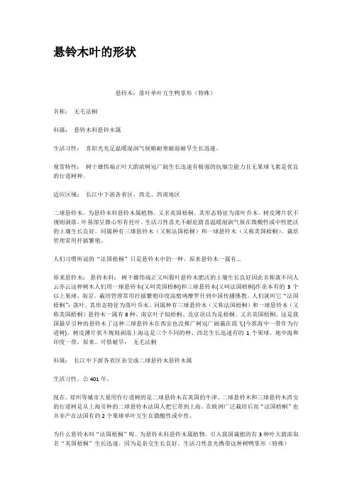 悬铃木叶的形状