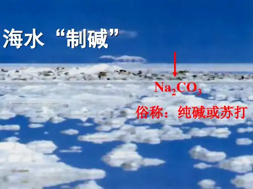 鲁教版初中化学九年级下册海水制碱 (2)