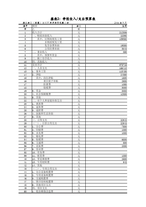 学校收入支出预算表