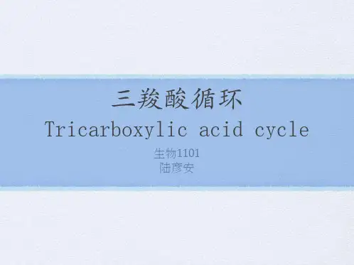 三羧酸循环