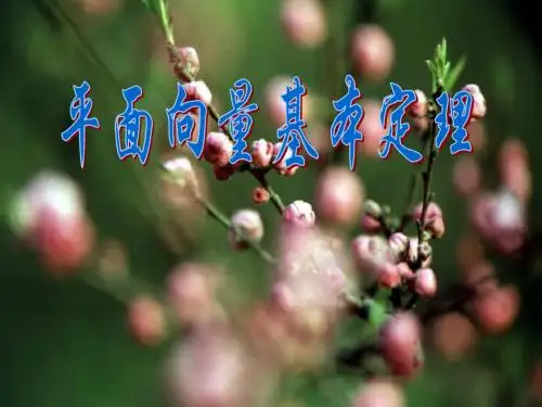平面向量基本定理课件