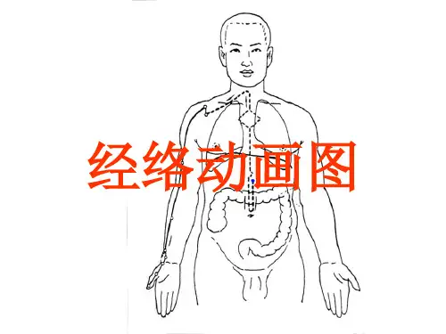 经络动画图