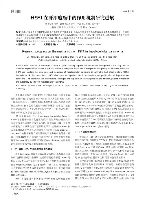 HSF1在肝细胞癌中的作用机制研究进展