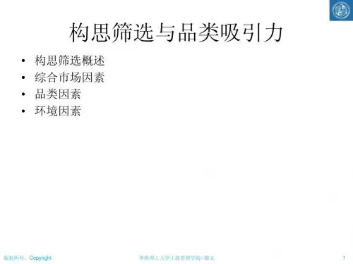 04构思筛选与品类吸引力分析