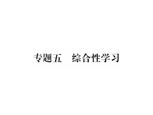 人教版八年级语文上册习题课件：专题5 综合性学习 (共13张PPT)