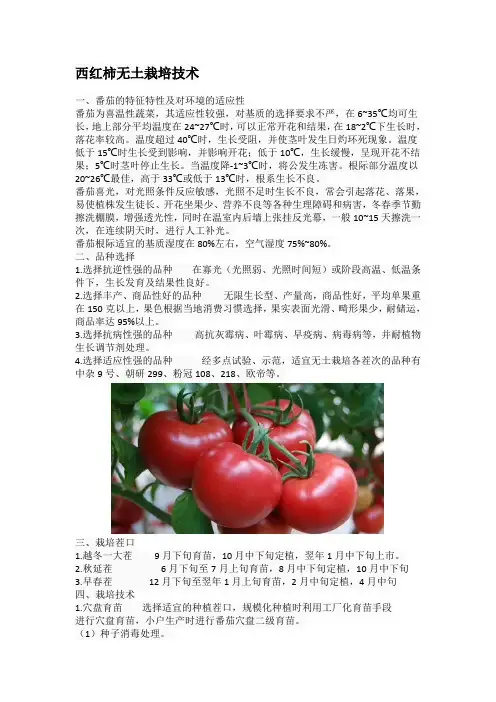 西红柿无土栽培技术