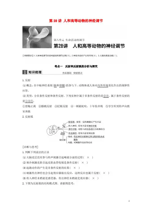 【步步高】(全国通用)2017版高考生物一轮复习 第八单元 生命活动的调节 第28讲 人和高等动物的神经调节