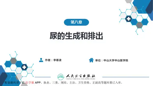 生理学第八章 尿的生成和排泄