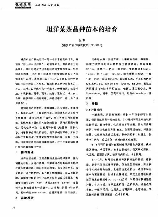 坦洋菜茶品种苗木的培育