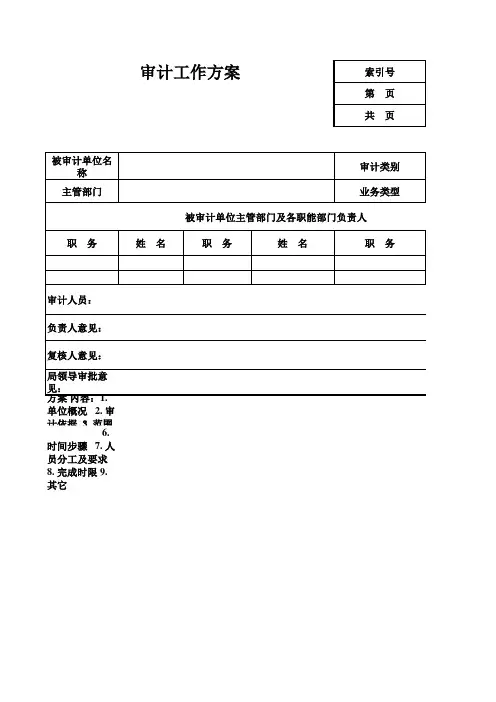审计工作方案