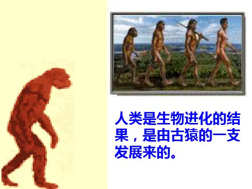 第1课  中国境内早期人类的代表—北京人