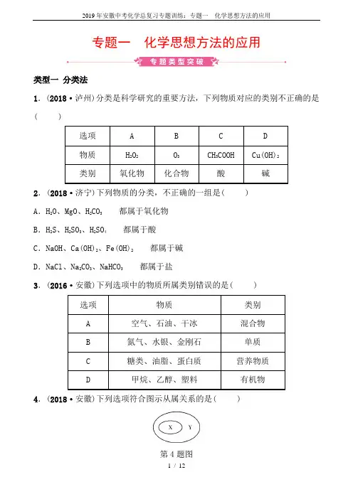 2019年安徽中考化学总复习专题训练：专题一  化学思想方法的应用