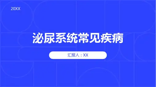 泌尿系统常见疾病