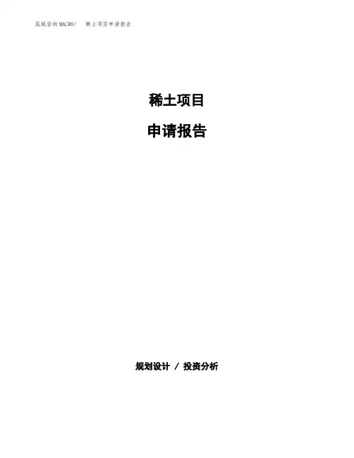 稀土项目申请报告参考模板(word下载可编辑) (1)
