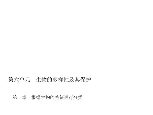 中考精英总复习生物习题第一章根据生物的特征进行分类PPT课件