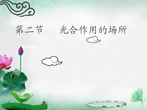 苏教版初中生物七年级上册《植物光合作用的场所》课件