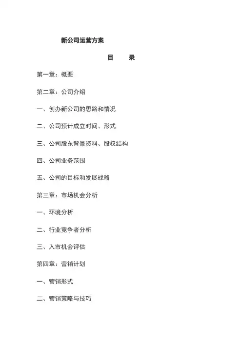 新公司运营方案