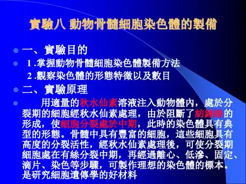 细胞生物学实验课件-骨髓细胞染色体标本的制备