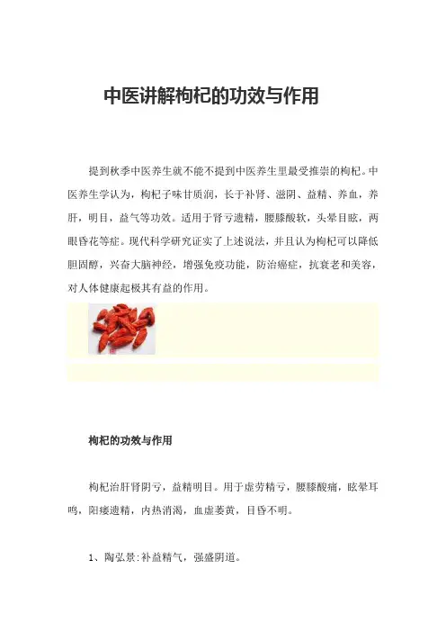 中医讲解枸杞的功效与作用