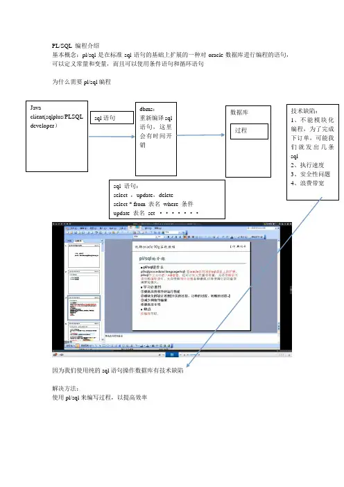 PLSQL developer 编程