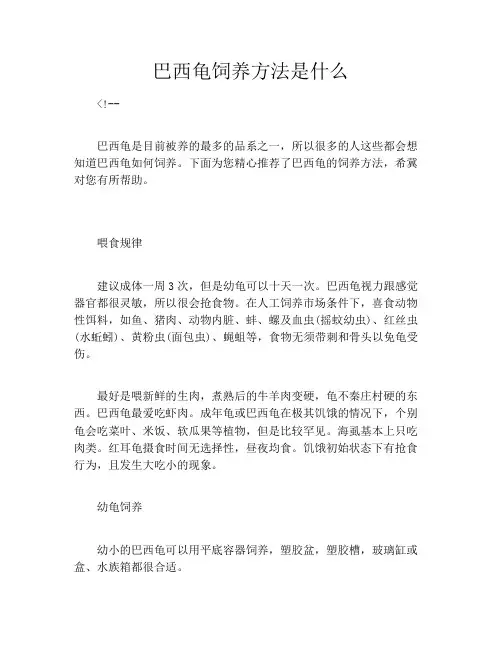 巴西龟饲养方法是什么