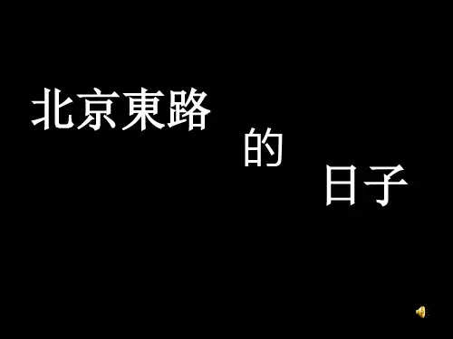 北京东路的日子宣传ppt
