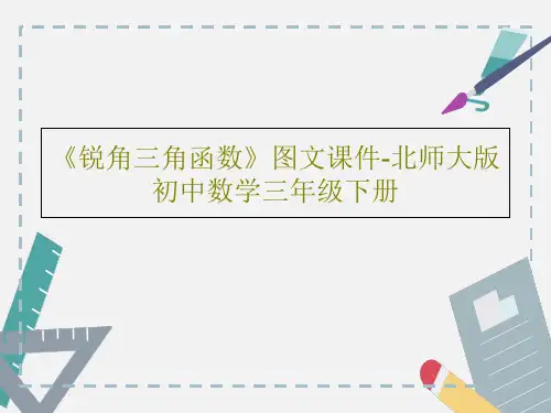 《锐角三角函数》图文课件-北师大版初中数学三年级下册共54页文档