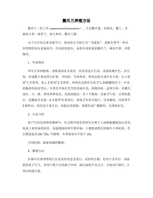 蟹爪兰养殖方法