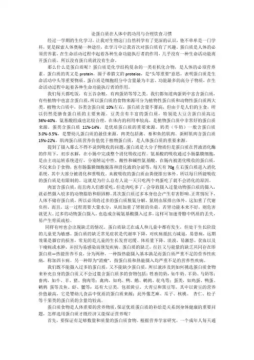 蛋白质在人体中的功能与作用