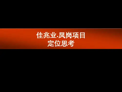 房地产 佳兆业 项目定位思考 完整稿 研究报告 