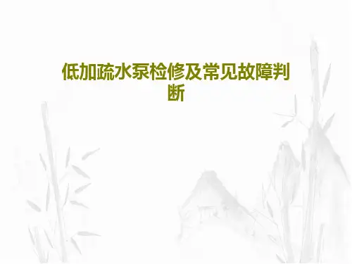 低加疏水泵检修及常见故障判断共20页