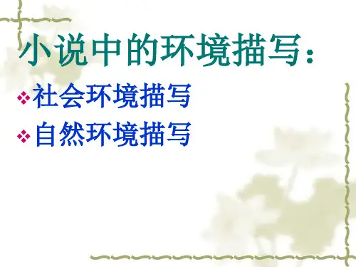 中考语文专题复习 小说中的环境描写 PPT课件