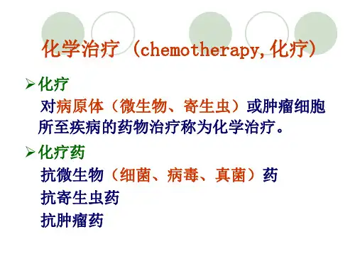 化疗药 PPT课件