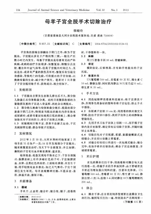 母羊子宫全脱手术切除治疗